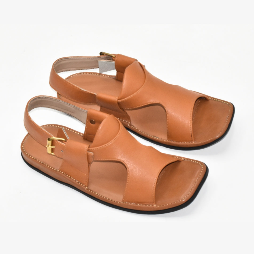 peshawari panjeddar(camel)