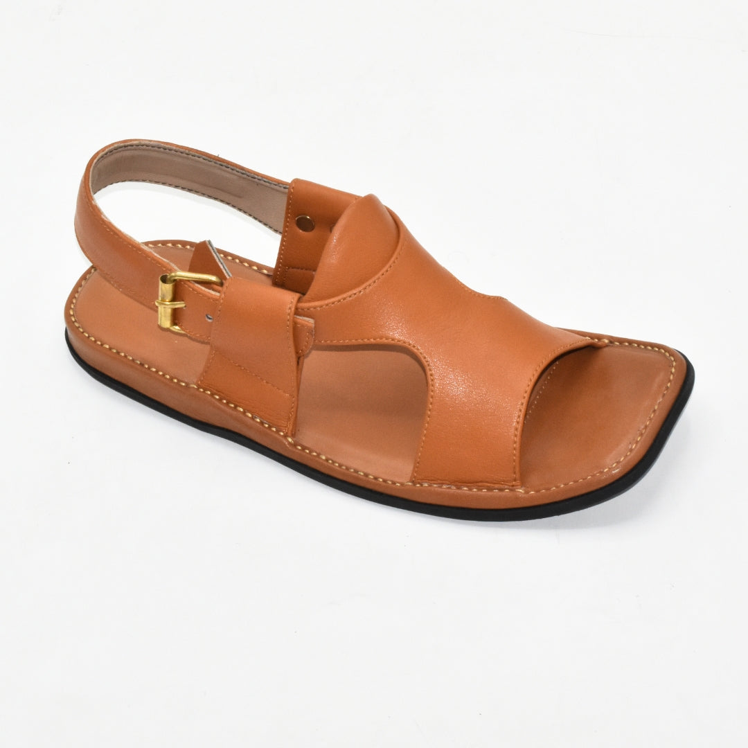 peshawari panjeddar(camel)